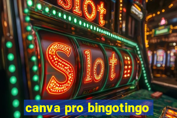 canva pro bingotingo